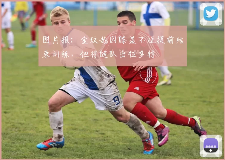 图片报：金玟哉因膝盖不适提前结束训练，但将随队出征多特