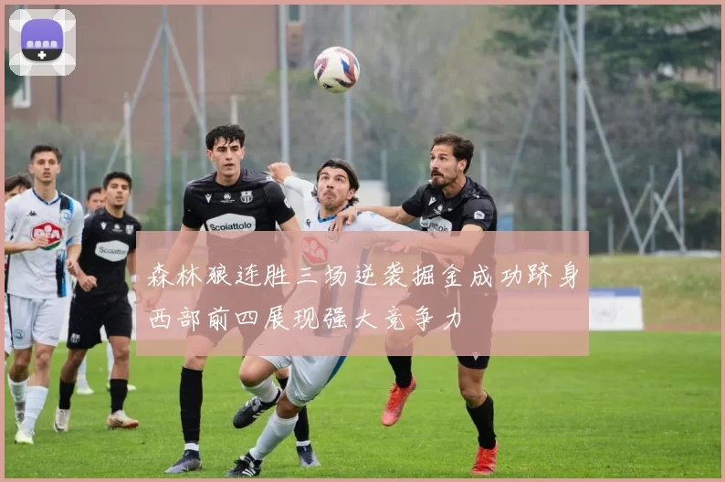 森林狼连胜三场逆袭掘金成功跻身西部前四展现强大竞争力